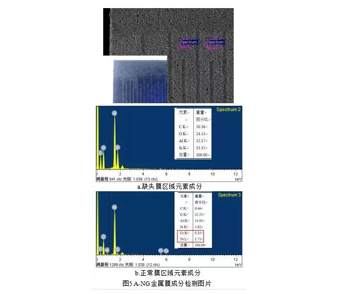 缺失膜與正常膜區域的元素檢測結果